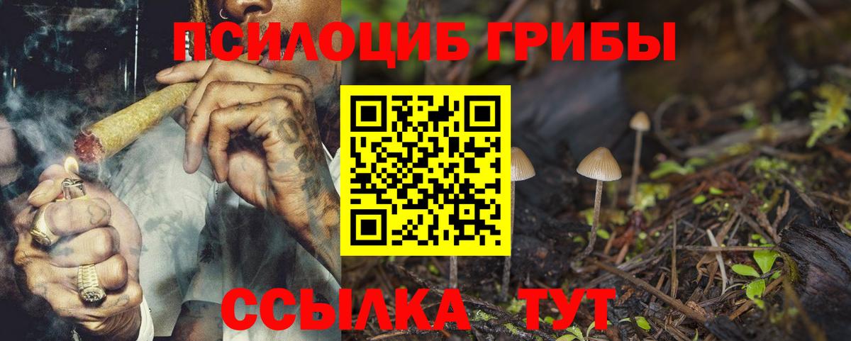 Галлюциногенные грибы Cubensis Салехард